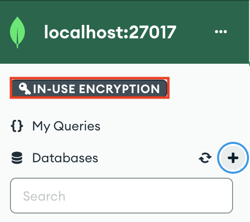 In-Use Encryption Connection button